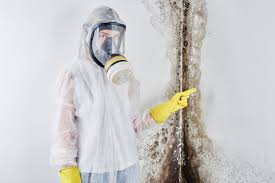 Trusted Louisa, VA Mold Removal & Remediation Experts